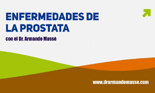 miniatura del curso